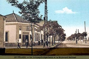 614- Le Telagh - Boulevard National